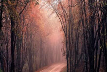 奇异果:铁人!孔德1年半没缺席过任何比赛,已连续踢了9.