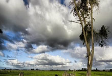 奇异果:U20亚洲杯国足不敌澳大利亚,小组第二出线.