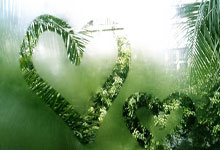 乒乓球仁川赛:女单16强已出其6!伊藤美诚苦战5局,险胜奥运亚军.