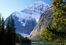 奇异果：[NBA]传奇巨星笑傲群星 库里当选最有价值球员.