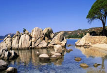 杜兰特谈与爱德华兹相撞:我只是手肘正好打在了他的脸上,但我绝对没有恶意.